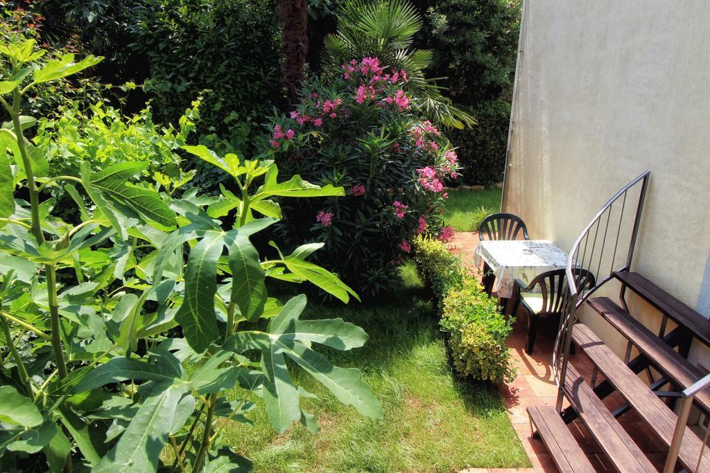 רוביני Apartments Villa Borik מראה חיצוני תמונה